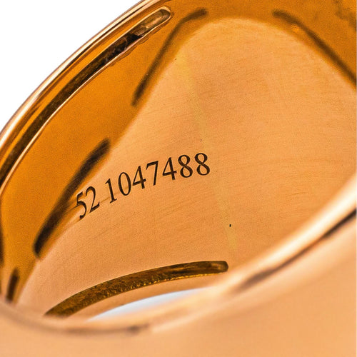 5417295CN10.jpg