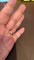 IMG_6575.jpeg