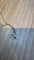 IMG_6582.jpeg