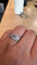 IMG_6641.jpeg
