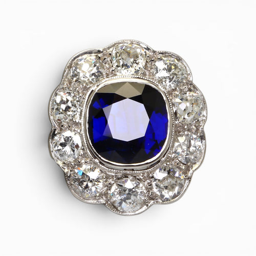 https://cdn.shopify.com/s/files/1/0605/8865/4788/files/6C8446FF-8ECC-4353-A356-7AED07DB2B66.jpg?v=1781813332