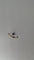 Bague 54 Bague en or blanc avec saphir et diamants 58 Facettes Bague 001