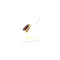 https://www.bijouxoccasionfrot.fr/wp-content/uploads/2026/06/Z1351845C.jpeg