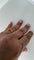 IMG_6699.jpeg