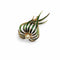Broche Broche Posidonie en or jaune émaillé vert 58 Facettes REF25002-269