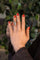 5062435CN02.jpg