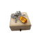 IMG_7421.png