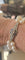 Bracelet Art déco - Bracelet en or 18 ct, platine, saphirs, diamants et perles 58 Facettes 1