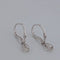 Boucles d'oreilles Boucles d'oreilles en or blanc et diamants 58 Facettes 2090701