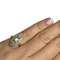 marquise 4.png