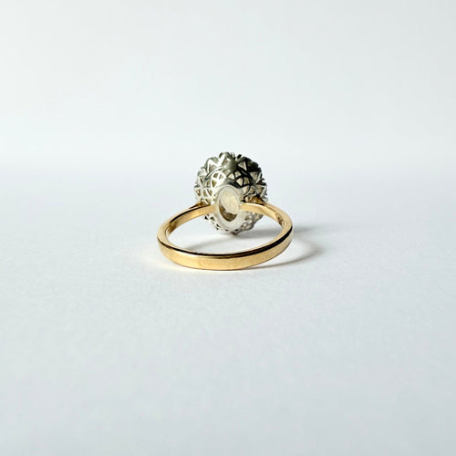 https://cdn.shopify.com/s/files/1/0943/8576/6747/files/IMG_3524.jpg?v=1783007126