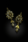 Boucles d'oreilles Orecchini dalmati - Boucles d'oreilles en or jaune et perles naturelles 58 Facettes