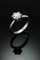 https://cdn.shopify.com/s/files/1/0759/4583/6889/files/FullSizeRender_092b2754-d82b-4a09-a3e5-01346eb6df99.png?v=1776939723