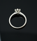 https://cdn.shopify.com/s/files/1/0759/4583/6889/files/FullSizeRender_ef2e2473-94d8-4cfb-8d26-c8a4181da9ca.png?v=1763716863