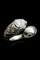 Bague 53 Bague serpent - Or blanc 18 carats et diamants 58 Facettes