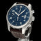 https://cdn.shopify.com/s/files/1/0013/2762/8363/files/Iwc.plt.010_1-2.0.jpg?v=1783691854