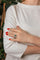 5317806CN02.jpg