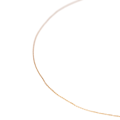 2841369CN06.png