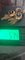 1000054017.jpg