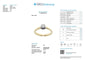 A1909 - GradingReportJ250000061194-JewelCert.jpg