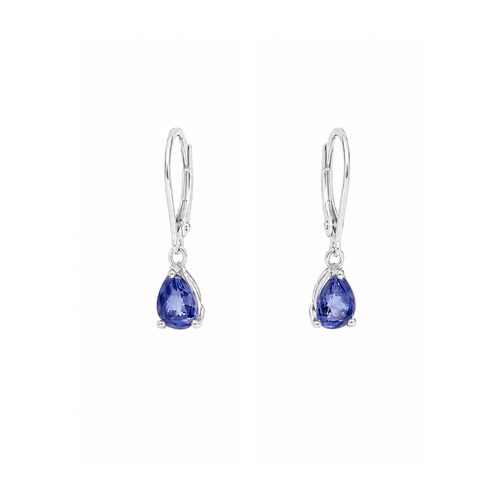 https://cdn.shopify.com/s/files/1/0647/1470/3075/files/Boucles_d_Oreilles_de_Luxe_-_Dormeuses_Tanzanites_Poires_Or_Gris_-_Joaillerie_Paris_-_Les_Pierres_de_Julie_1.png?v=1784548097