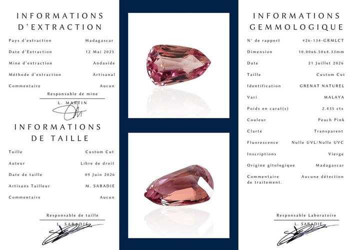 Inner Page.jpg