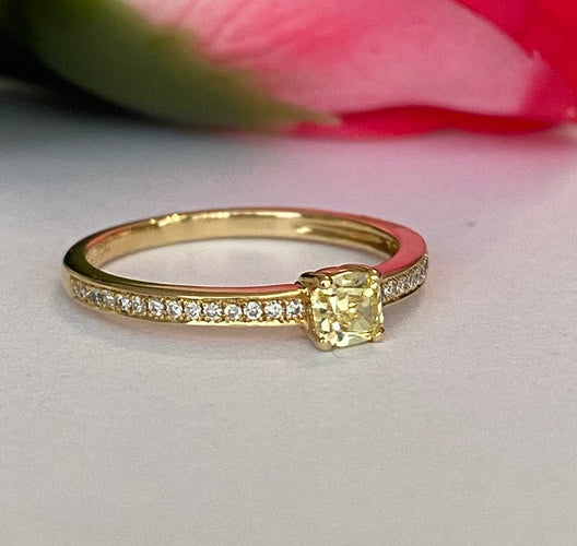 05.JPEG