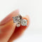 23ct+25ctdiamond3.jpg