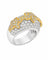 c_3.webp