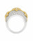c_2.webp