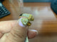 51 Bague Toi et Moi vintage en or jaune, citrine et diamant 58 Facettes BA 763