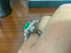 Bague 54 Bague colombienne en or blanc, émeraude et diamants 58 Facettes BA 457