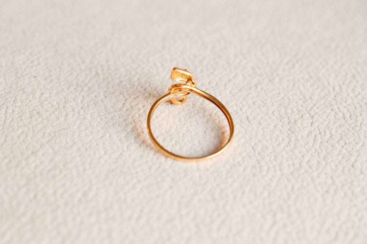 https://cdn.shopify.com/s/files/1/0963/7950/2920/files/DSC_0326_130bcde0-9c30-456e-bee0-e6f94b405cf9.jpg?v=1779382293