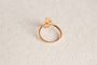 https://cdn.shopify.com/s/files/1/0963/7950/2920/files/DSC_0326_130bcde0-9c30-456e-bee0-e6f94b405cf9.jpg?v=1779382293