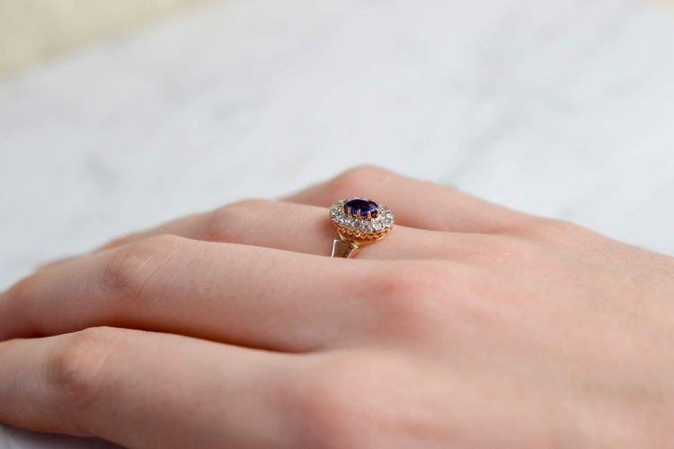 https://cdn.shopify.com/s/files/1/0963/7950/2920/files/DSC_1903-2_2e6a7f9f-92f6-4447-91cc-20a10976285e.jpg?v=1779382354