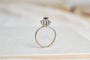https://cdn.shopify.com/s/files/1/0963/7950/2920/files/DSC_0597_aae03bc1-7a2c-43d8-98cb-ac9f445b19fe.jpg?v=1779382883