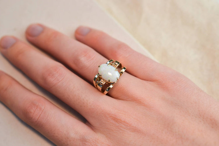 https://cdn.shopify.com/s/files/1/0963/7950/2920/files/DSC_0151_a805dc35-dc67-47b9-bcf8-762e8078159f.jpg?v=1779984552