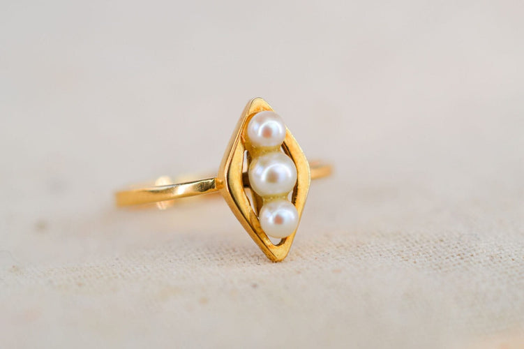https://cdn.shopify.com/s/files/1/0963/7950/2920/files/DSC_0685_6a0a8e1d-5557-4256-ac38-c97848a4571b.jpg?v=1779984976