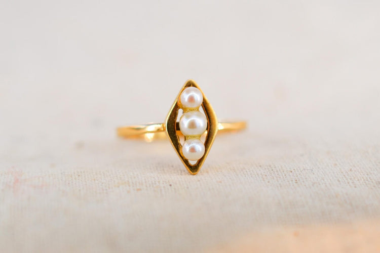 https://cdn.shopify.com/s/files/1/0963/7950/2920/files/DSC_0683_4edf5f53-19da-42c8-ab71-65291b5898bf.jpg?v=1779984976