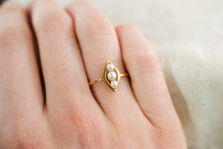 https://cdn.shopify.com/s/files/1/0963/7950/2920/files/DSC_0689_fa19cc14-9c9e-4cef-b7e4-8d9c011a7b03.jpg?v=1779984976