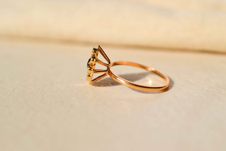 https://cdn.shopify.com/s/files/1/0963/7950/2920/files/Daisy-saphir_806b7994-5073-4de1-b0ed-60eefaa2c33c.jpg?v=1779985137
