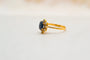 https://cdn.shopify.com/s/files/1/0963/7950/2920/files/Daisy-or-jaune_5a80d43d-8a11-411c-bfbc-34fbe687922e.jpg?v=1779985379