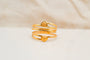https://cdn.shopify.com/s/files/1/0963/7950/2920/files/bague-or-jaune_3f7f67c5-cde2-4eca-89ed-50d4ab0c822f.jpg?v=1782398101