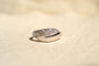 https://cdn.shopify.com/s/files/1/0963/7950/2920/files/bague-or-blanc-vintage_3900d802-48cd-4375-ad16-60a303c125d3.jpg?v=1779980392