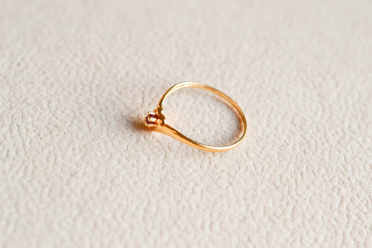 https://cdn.shopify.com/s/files/1/0963/7950/2920/files/DSC_0332_e08b52ee-a7c9-4050-8883-c2da019c3a9a.jpg?v=1779984189
