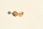 https://cdn.shopify.com/s/files/1/0963/7950/2920/files/boucles-oreilles-anciennes-or-jaune-diamants.jpg?v=1784293059