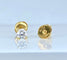 IMG_6695.jpeg