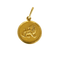 Zodiaque Lion - Médaille en or jaune 18k 58 Facettes MédailleLion