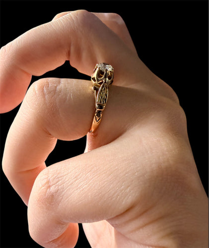 https://cdn.shopify.com/s/files/1/0759/4583/6889/files/1362A649-F537-4F00-B18D-E9385A5D6AD8.jpg?v=1769077561