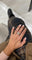 Bague 57 Art déco - Bague de fiançailles diamant en or blanc 18k 58 Facettes